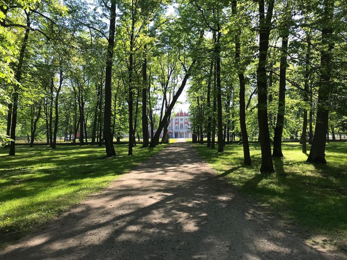 1 Bedroom Apartment Near Kadriorg Swan Pond Reval Exterior foto